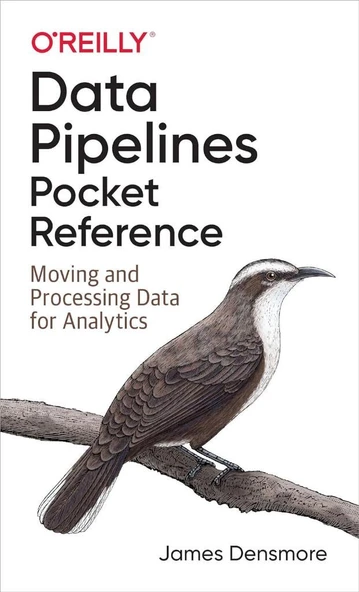 Data Pipelines Pocket Reference: Moving and Processing Data for Analytics James Densmore - Resim 2