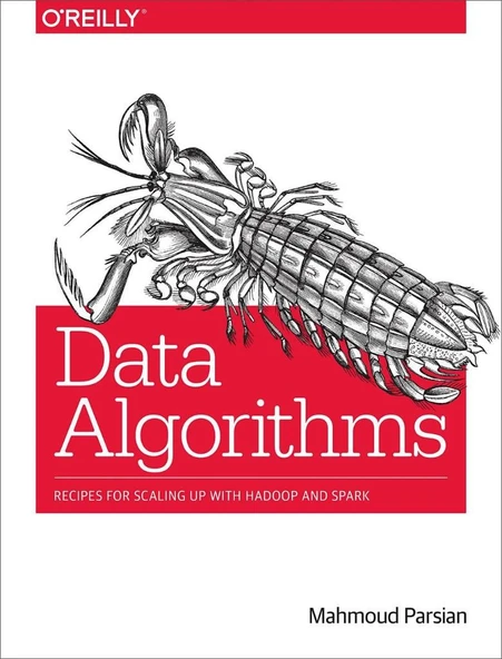 Data Algorithms: Recipes for Scaling Up with Hadoop and Spark Mahmoud Parsian ürün görseli 1