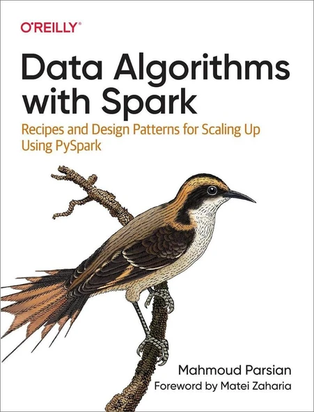 Data Algorithms with Spark: Recipes and Design Patterns for Scaling Up using PySpark Mahmoud Parsian ürün görseli 1