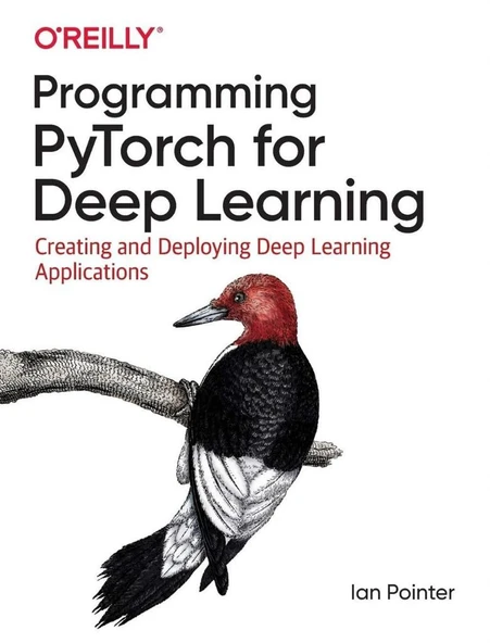 Programming PyTorch for Deep Learning: Creating and Deploying Deep Learning Applications ürün görseli 1