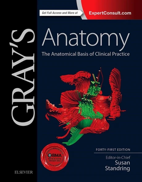 Gray's Anatomy: The Anatomical Basis of Clinical Practice (41nd Ed.) Susan Standring (Volume I and Volume II) ürün görseli 1