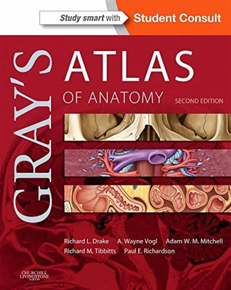 Gray's Atlas of Anatomy (Gray's Anatomy) 2nd Edition  Richard Drake PhD ürün görseli 1