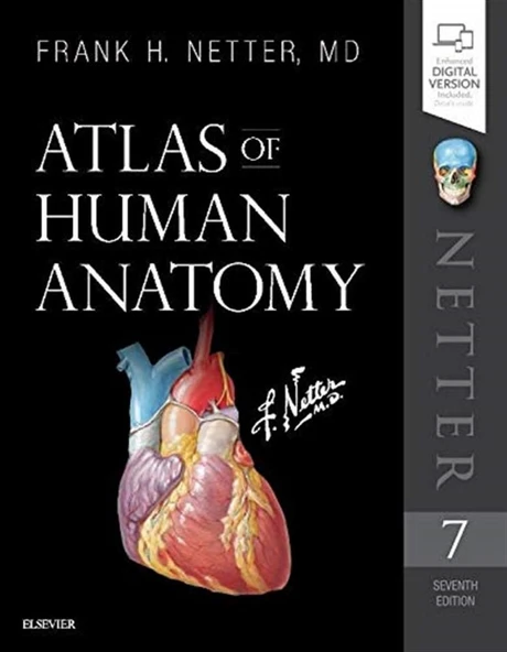 PTTAVM: Atlas of Human Anatomy (Netter Basic Science) 7th Edition