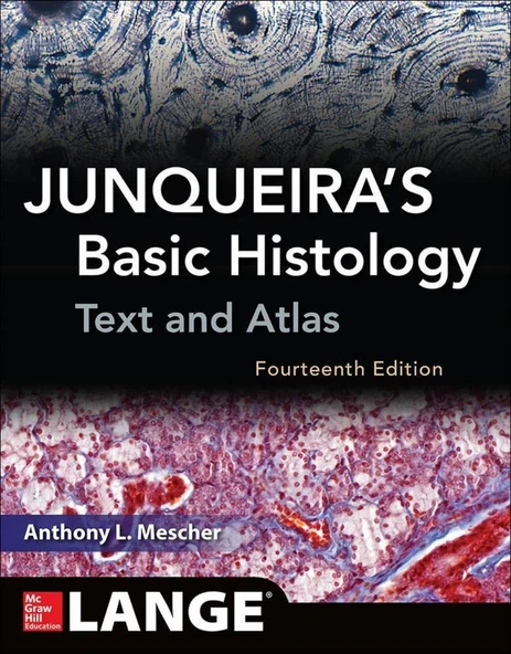 Junqueira's Basic Histology: Text and Atlas 14th Edition Ph.D. Mescher, Anthony L. ürün görseli 1