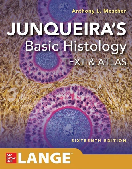 Junqueira's Basic Histology: Text and Atlas, Sixteenth Edition 16th Edition Anthony L. Mescher ürün görseli 1