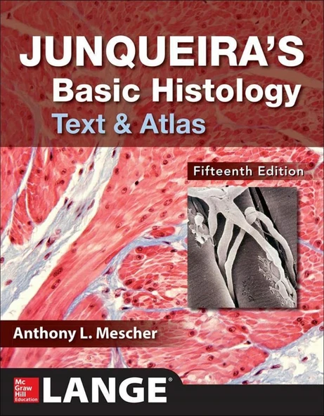Junqueira's Basic Histology: Text and Atlas, Fifteenth Edition 15th Edition Anthony L. Mescher ürün görseli 1