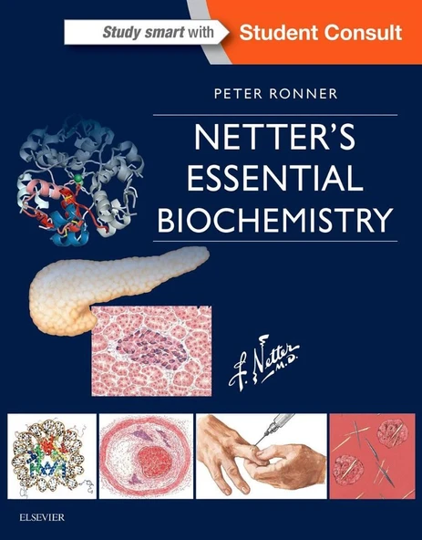 Netter's Essential Biochemistry (Netter Basic Science) 1st Edition Peter Ronner PhD ürün görseli 1