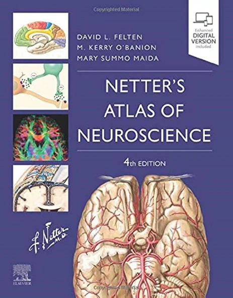 Netter's Atlas of Neuroscience (Netter Basic Science) 4th Edition David L. Felten MD PhD ürün görseli 1