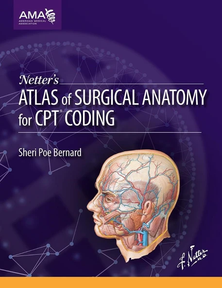 Netter's Atlas of Surgical Anatomy for CPT Coding Sheri Poe Bernard ürün görseli 1