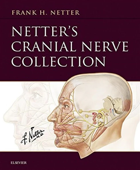 Netter’s Cranial Nerve Collection Netter Basic Science Frank H. Netter ürün görseli 1