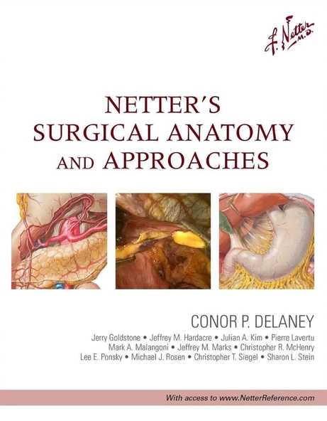Netter's Surgical Anatomy and Approaches Conor P Delaney MCh PhD FRSCI ( Gen) FACS ürün görseli 1