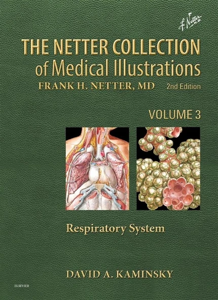 Netter Collection of Medical Illustrations: Respiratory System: Volume 3 (Netter Green Book Collection) David Kaminsky ürün görseli 1
