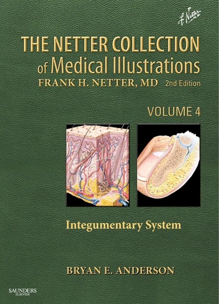 The Netter Collection of Medical Illustrations: Integumentary System 2nd Edition Bryan E Anderson MD ürün görseli 1