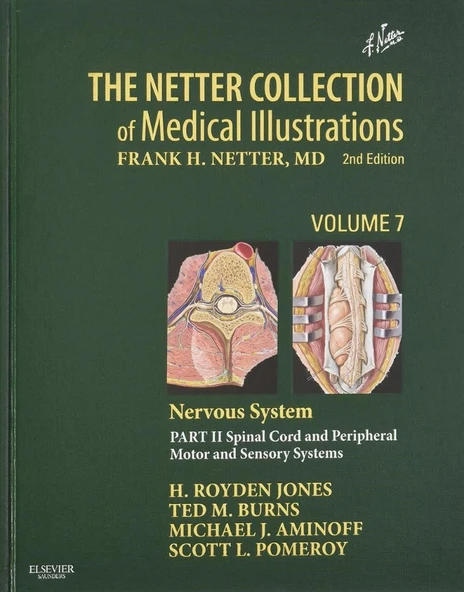 The Netter Collection of Medical Illustrations: Nervous System, Volume 7, Part 2nd Edition H. Royden Jones Jr. ürün görseli 1