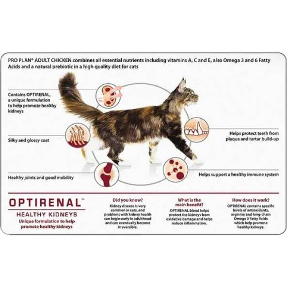 Pro Plan Tavuklu Yetişkin Kedi Mamasi 10Kg - Resim 3