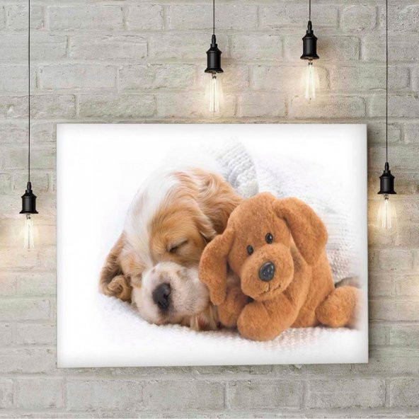 Yavru Köpek Ve Oyuncak Ayı PiMarks Kanvas Tablo 5 ürün görseli 1