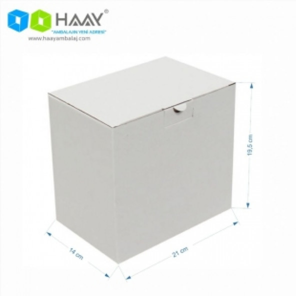 HAAY AMBALAJ 21x14x19,5 Cm Beyaz Kilitli Kapaklı Kutu 25 ADET ürün görseli 1
