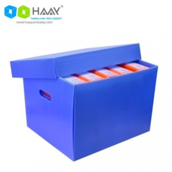 HAAY AMBALAJ 41x34x29,5cm Plastik Arşiv Kolisi ürün görseli 1