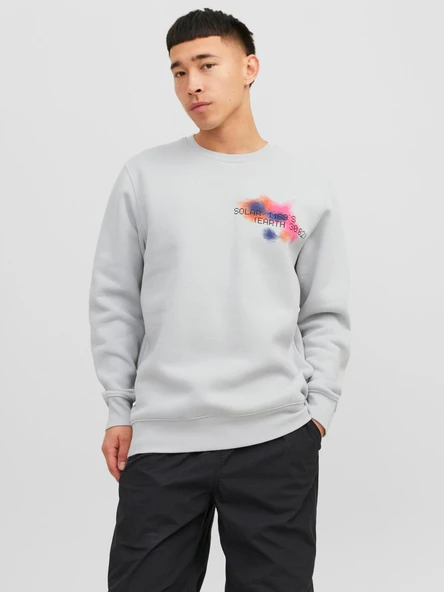 JACK JONES Erkek Ön Arka Baskılı Bisiklet Yaka Sweatshirt 12242181 ürün görseli 1