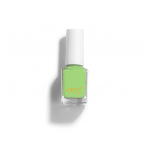 Chic Nail Açık Yeşil Oje Moss 113 ürün görseli 1