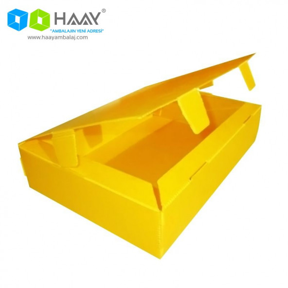 HAAY AMBALAJ  40x29x9 Cm Küçük Boy Plastik Kutu (10 ADET) ürün görseli 1