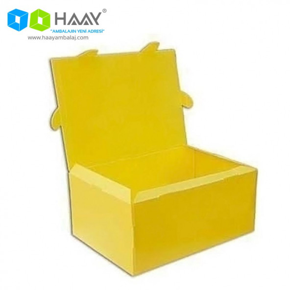 HAAY AMBALAJ 40x29x18 Cm Büyük Boy Plastik Kutu (10 ADET) ürün görseli 1