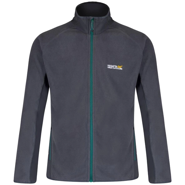 Regatta Ashton Erkek Polar-GRİ ürün görseli 1