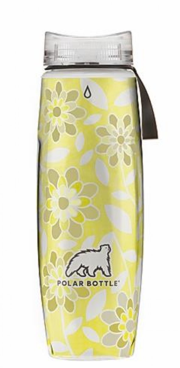 Polar Bottle Ergo Insulated Graphic Termos 0.65 Litre-GRİ ürün görseli 1