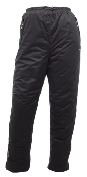 Regatta Padded Chandler Trekking Erkek Pantolon-SİYAH ürün görseli 1