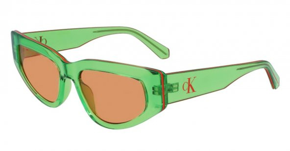 Calvin Klein CKJ23603S 300 53 Kadın Güneş Gözlüğü ürün görseli 1