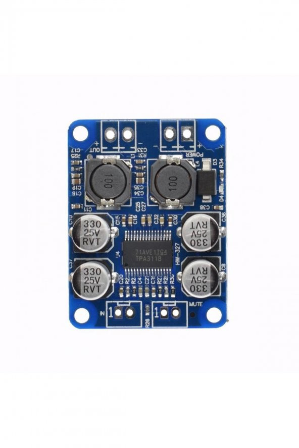 TPA3118 60W Mono Digital Ses Amfi Modül DC 12V-24V Tek Kanal Class D Amplifikatör Amfi Amplifier ürün görseli 1