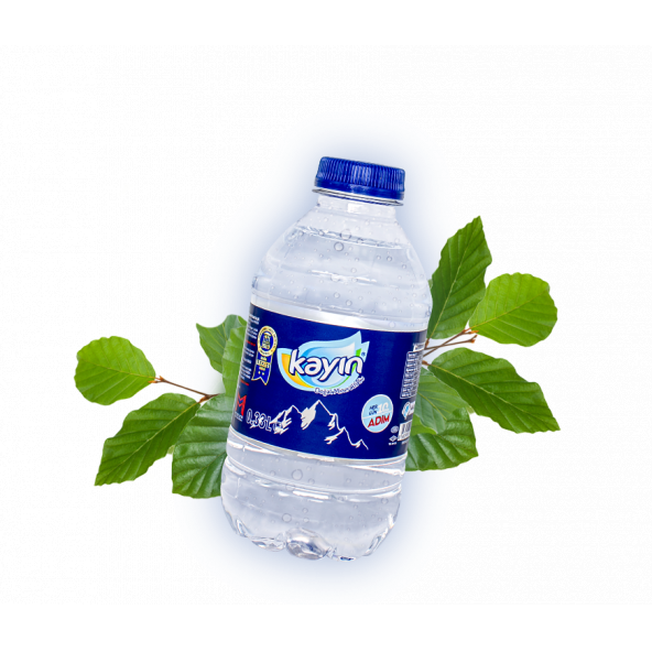 kayın su  330 ml pet 72 li paket ürün görseli 1
