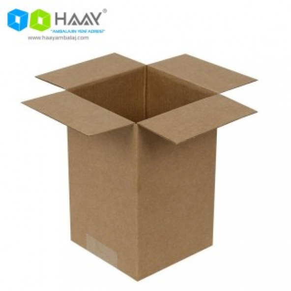 HAAY AMBALAJ 12x12x20cm Çift Oluklu Koli (25 Adet) ürün görseli 1