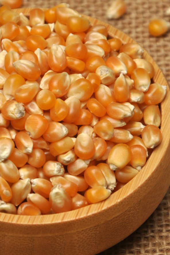 Popcorn Patlamış Mısır Cips  500 G - Resim 2