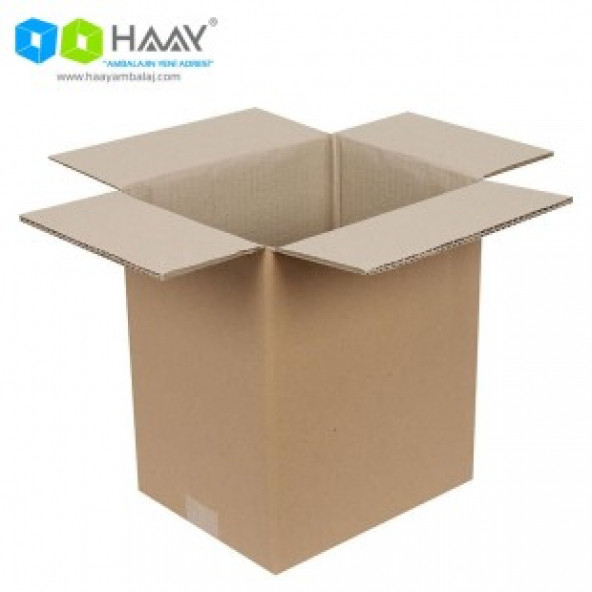 HAAY AMBALAJ 25x20x30cm Çift Oluklu Koli (10adet) ürün görseli 1
