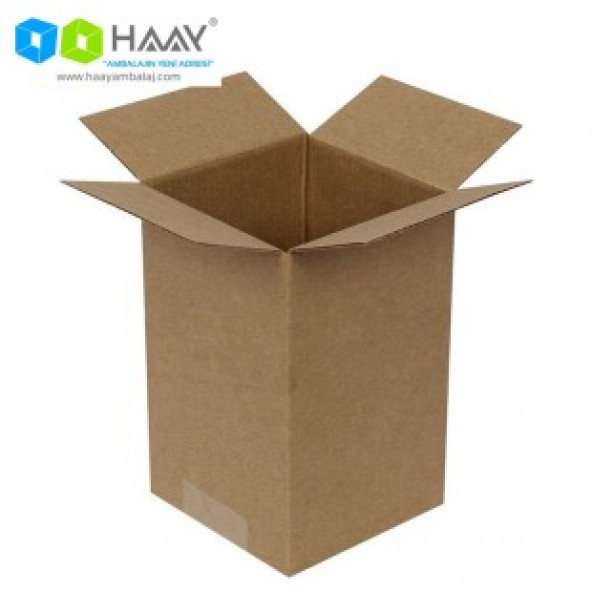 HAAY AMBALAJ  10x10x16 Tek Oluklu Koli (50 Adet) ürün görseli 1