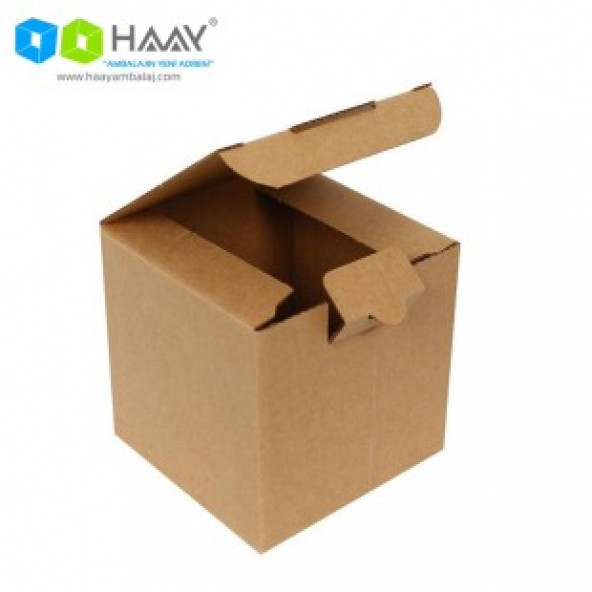 HAAY AMBALAJ 10,5x10,5x10,5cm Kraft E-ticaret Kargo Kutusu (50 Adet) ürün görseli 1