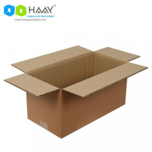 HAAY AMBALAJ 40x20x20cm Çift Oluklu Koli (10 Adet) ürün görseli 1
