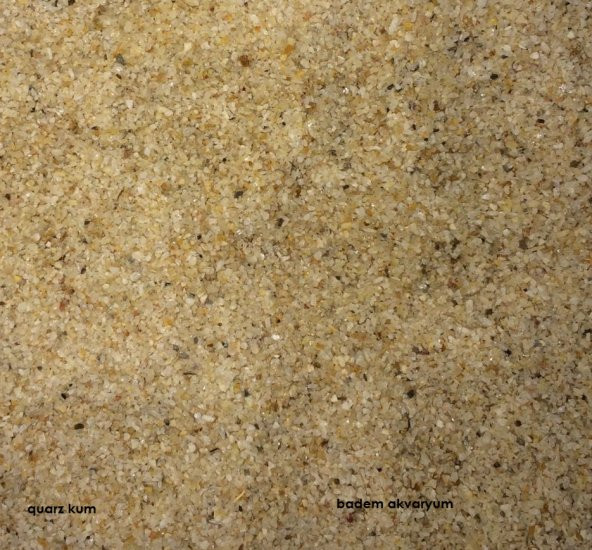 Akvaryum Quarz Kum 1-2 mm 5kg Quartz Kum Kuvars Kum ürün görseli 1