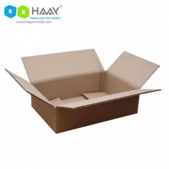 HAAY AMBALAJ 45x30x10cm Çift Oluklu Koli (10 ADET) ürün görseli 1