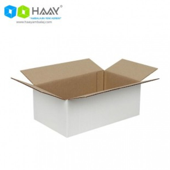 HAAY AMBALAJ 25x15x10 cm Tek Oluklu Beyaz Koli (50 Adet) ürün görseli 1