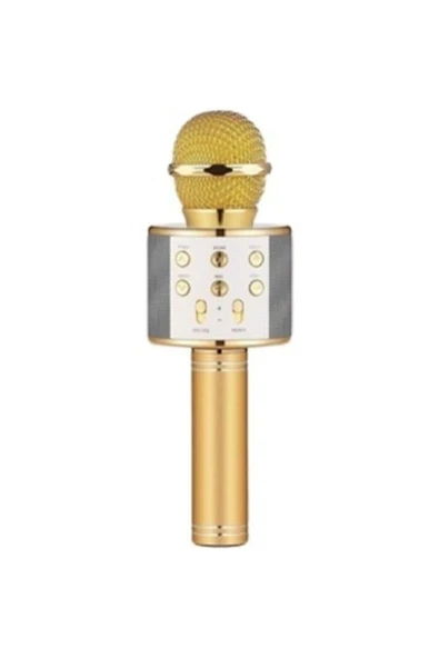 BUL-KAR İNOVASYON Polygold Ws-858 Karaoke Mikrofon ürün görseli 1