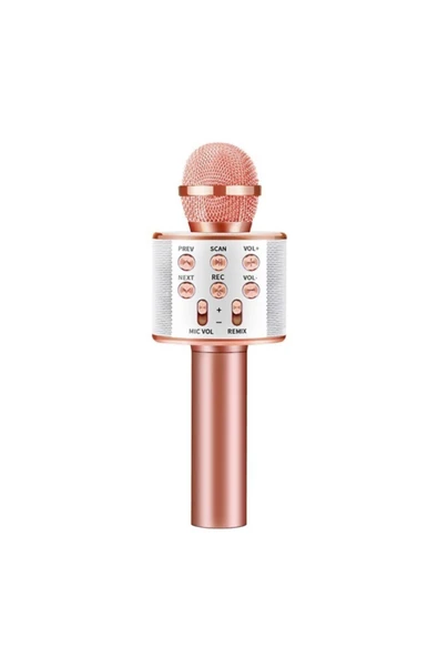 ProDepo Concord Türkçe Yüksek Kalite Karaoke Mikrofon Hoparlör (C-8500) - Rose Gold ürün görseli 1