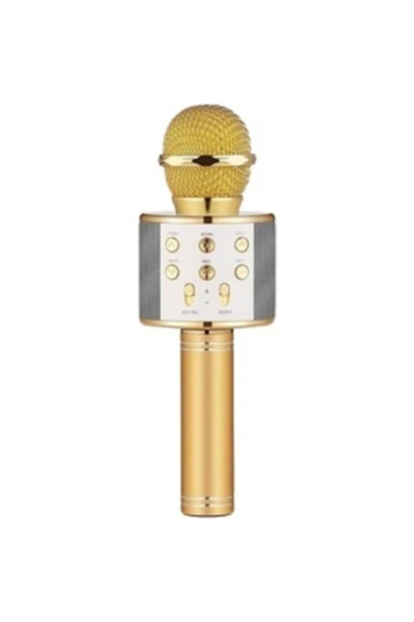 BUL-KAR İNOVASYON Polygold Ws-858 Karaoke Mikrofon Silver-siyah ürün görseli 1