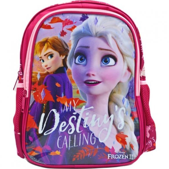 010 Şahin - Otto-48031 48031 Frozen İlkokul Çantası Hawk My Destıny ürün görseli 1