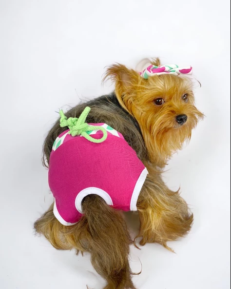 Fruit Party Kemique's Secret Köpek İç Çamaşırı Regl Külot Don ürün görseli 1