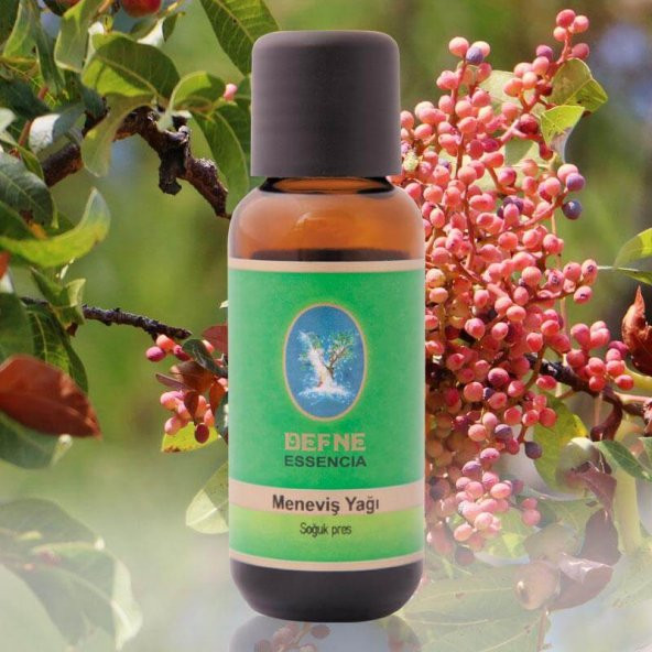 Meneviş (Çitlembik) Yağı - 30ml - Nuka ürün görseli 1