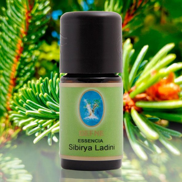 Geleneksel Sibirya Ladini Yağı - 30ml - Nuka ürün görseli 1