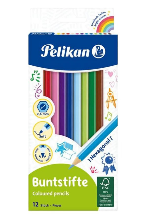 12 li Kuru Boya Kalemi Jumbo Karton Kutu 1 Paket 12 Renk Kuruboya Jumbo Tam Boy Renkli Kalem ürün görseli 1