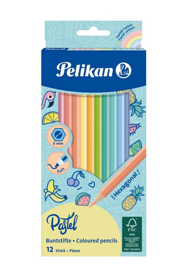 12 li Pastel Renk Kuru Boya Kalemi Karton Kutu 1 Paket 12 Renk Kuruboya Tam Boy Renkli Kalem ürün görseli 1